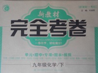 2017年新教材完全考卷九年級(jí)化學(xué)下冊(cè)粵科版