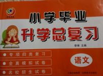 2017年名師導(dǎo)航小學(xué)畢業(yè)升學(xué)總復(fù)習(xí)語文