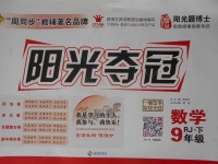 2017年陽光奪冠九年級數(shù)學下冊人教版