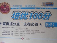 2017年王朝霞培優(yōu)100分六年級(jí)數(shù)學(xué)下冊(cè)人教版