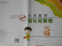 2017年小學(xué)數(shù)學(xué)強(qiáng)化拓展卷五年級下冊蘇教版