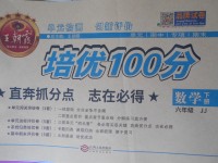 2017年王朝霞培優(yōu)100分六年級數(shù)學下冊冀教版