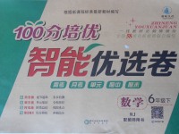 2017年扬帆文化100分培优智能优选卷六年级数学下册人教版