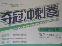 2017年奪冠沖刺卷六年級(jí)數(shù)學(xué)下冊(cè)魯教版五四制
