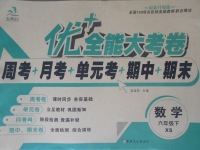 2017年優加全能大考卷六年級數學下冊西師大版