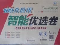 2017年揚帆文化100分培優(yōu)智能優(yōu)選卷六年級語文下冊人教版