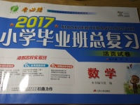 2017年小學畢業(yè)班總復習數(shù)學