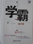 2017年經(jīng)綸學典學霸九年級數(shù)學全一冊人教版