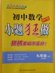 2017年初中數(shù)學小題狂做九年級上冊蘇科版課時版