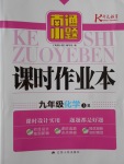 2017年南通小題課時作業(yè)本九年級化學(xué)上冊人教版