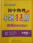 2017年初中物理小题狂做九年级上册苏科版课时版