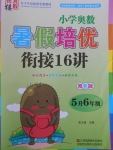 2017年暑假衔接小学奥数暑假培优衔接16讲5升6年级