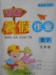 2017年智趣暑假作業(yè)五年級數(shù)學(xué)北師大版