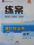 2017年練案課時(shí)作業(yè)本九年級(jí)化學(xué)上冊(cè)魯教版