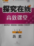 2017年探究在线高效课堂九年级历史全一册岳麓版