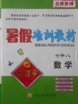 2017年孟建平暑假培訓教材七升八數學