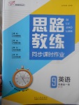 2017年思路教練同步課時(shí)作業(yè)九年級(jí)英語全一冊人教版