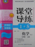 2017年課堂導(dǎo)練1加5九年級(jí)化學(xué)上冊(cè)人教版