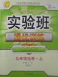 2017年實驗班提優(yōu)訓練九年級化學上冊滬教版