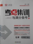 2017年考點(diǎn)集訓(xùn)與滿分備考九年級(jí)化學(xué)全一冊(cè)上