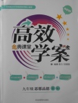 2017年高效學案金典課堂九年級思想品德全一冊人教版