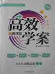 2017年高效学案金典课堂九年级思想品德全一册人教版