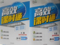 2017年高效課時通10分鐘掌控課堂九年級數(shù)學全一冊浙江專版