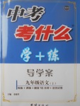 2017年中考考什么學加練導學案九年級語文上冊