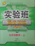 2017年實(shí)驗班提優(yōu)訓(xùn)練九年級數(shù)學(xué)上冊華師大版