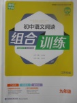 2017年通城學(xué)典初中語文閱讀組合訓(xùn)練九年級(jí)江蘇專版