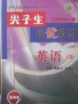 2017年尖子生培優(yōu)教材九年級英語全一冊人教版A版