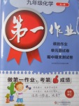 2017年第一作業九年級化學全一冊