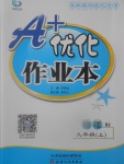 2017年A加優(yōu)化作業(yè)本九年級物理上冊人教版