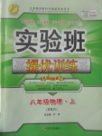 2017年實驗班提優(yōu)訓練八年級物理上冊人教版v