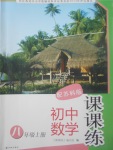 2017年课课练初中数学八年级上册苏科版
