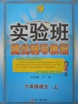 2017年實(shí)驗(yàn)班提優(yōu)輔導(dǎo)教程六年級語文上冊