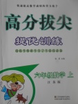 2017年高分拔尖提優(yōu)訓(xùn)練六年級(jí)數(shù)學(xué)上冊江蘇版