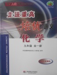 2017年走進重高培優講義九年級化學全一冊人教版雙色版