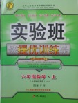 2017年實驗班提優(yōu)訓練六年級數學上冊滬教版上海地區(qū)專用