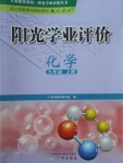 2017年陽光學(xué)業(yè)評價(jià)九年級化學(xué)上冊人教版