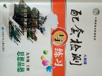 2017年配套檢測與練習(xí)九年級(jí)思想品德上冊人教版