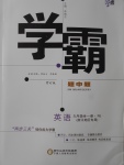 2017年經(jīng)綸學典學霸九年級英語全一冊人教版浙江地區(qū)專用