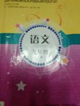 2017年新課程實(shí)踐與探究叢書(shū)九年級(jí)語(yǔ)文上冊(cè)語(yǔ)文版