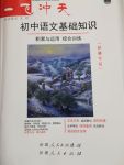 2017年一飛沖天初中語文基礎(chǔ)知識人教版新疆專版