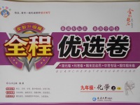 2017年全程優(yōu)選卷九年級化學(xué)上冊粵科版