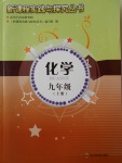 2017年新課程實(shí)踐與探究叢書(shū)九年級(jí)化學(xué)上冊(cè)魯教版