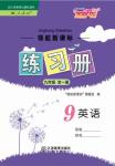 2017年領(lǐng)航新課標(biāo)練習(xí)冊九年級英語全一冊人教版