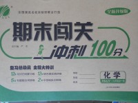 2017年期末闖關(guān)沖刺100分九年級(jí)化學(xué)全一冊(cè)人教版