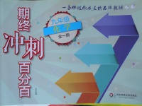 2017年期終沖刺百分百九年級化學全一冊