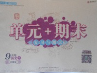 2017年單元加期末復習與測試九年級歷史全一冊岳麓版
